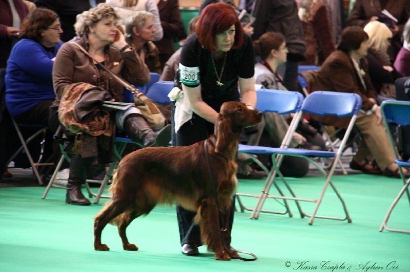 Crufts2011 114.jpg